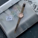 coach Coach Ladies Exquisite Canvas Diamond Boyfriend Light Luxury Belt Watch