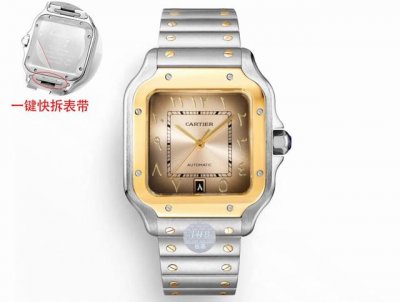 Thb New Cartier Santos Middle East Edition Leather Strap Original Mold. 1. Case