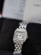 Cartier Cheetah series Wspn0013, small Cheetah, the actual object is small and