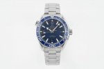 Strap Version, Steel Bracelet Version Tvs Omega Omega Ob2 Seamaster 600 Series O