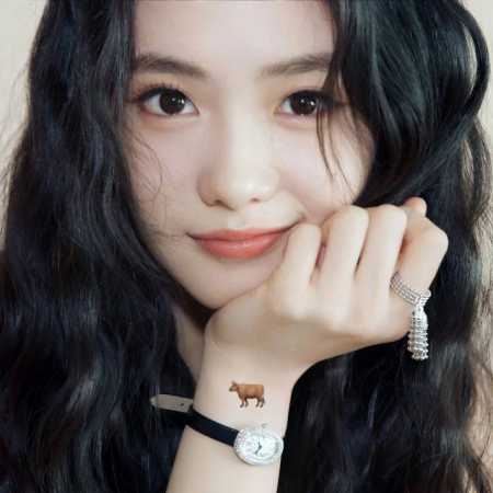 Cartier Baignoire Bathtub Collection Watch, a timepiece worthy of recommendation - Click Image to Close