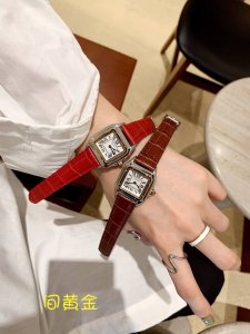 Two-tone gold ~~ Cartier, panther, bamboo pattern, screw-down case back, origina