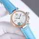 Belt: White shell, gold shell, diamond 50 Steel belt: White shell, gold rose 10