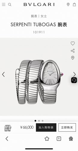 Export To Dubai Customs Goods Bulgari Snake Watch Sernti Tubogas Ladies Watch 10