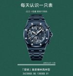 Apk's latest 2025 release: the new Audemars Piguet Royal Oak 26238Cd.Ce in two c