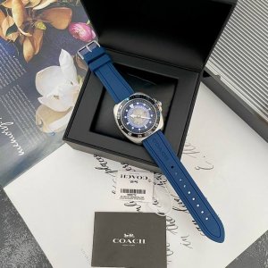 Exclusive original mechanical men's Coach Charter series Seagull mechanical men