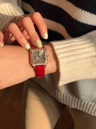 Taiwan-Made Cartier Panther Series, Luxurious Yet Unconventional, Embodying The - Click Image to Close