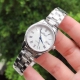 Brand: Plangle Elegant Women's Watch, simple three-hand with 3-digit single cal