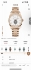 White shell, gold shell, diamond 50 Tw Piaget ultra-thin Piaget Polo series coup