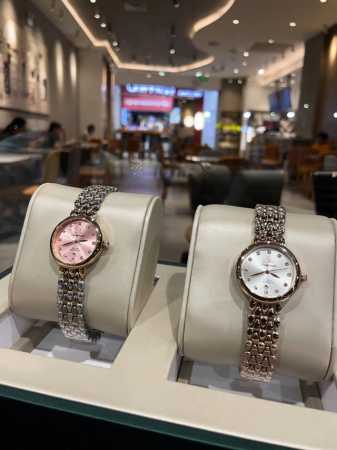 Pieces + 20 Diamonds + 30 Omega Simple And Elegant Women's Watch Imported Quartz - Click Image to Close