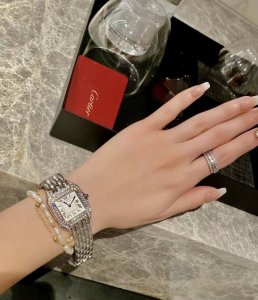 Cartier Tank and Cheetah, many people struggle to choose! The Tank is truly a cl