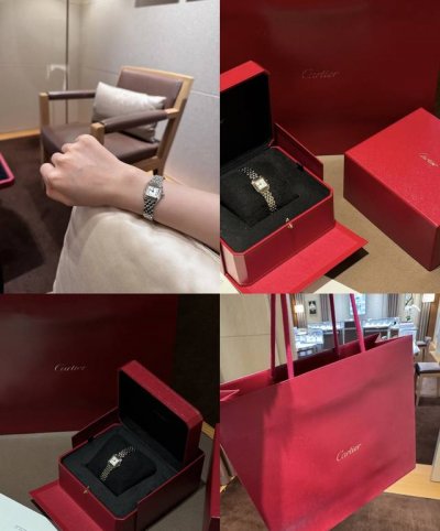 Cartier Panth
