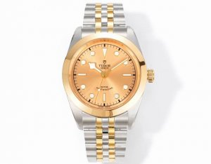 Tudor Biwan Series White-Gold - Case and Bezel: 41mm stainless steel case with p