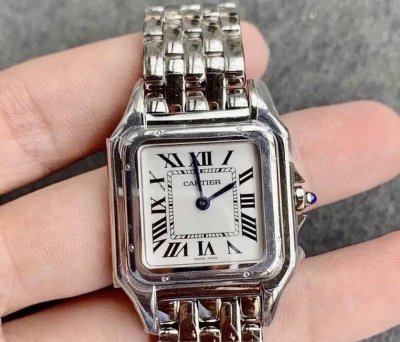 The Cartier Panth