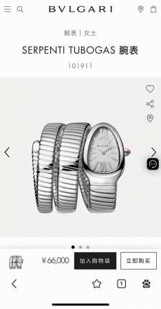 Export To Dubai Customs Goods Bulgari Snake Watch Sernti Tubogas Ladies Watch 10 - Click Image to Close