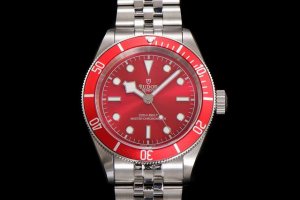 T New Product ~ The Bi Bay series is undoubtedly a vast product line for Tudor.
