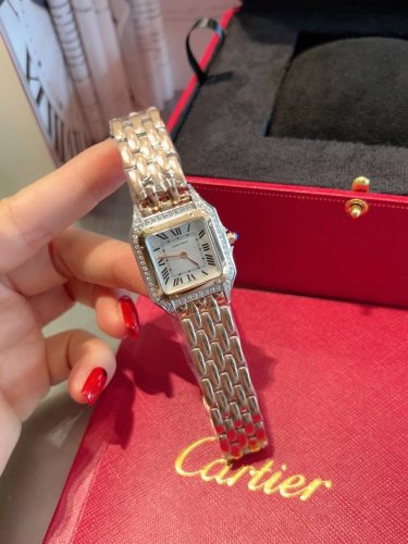 White Diamonds And Gold Diamonds 440 Double-Row Diamonds + 50 Cartier-Cartier's