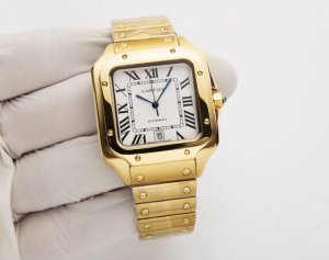 White Steel 20. One Of Cartier's Most Classic Series, Santos Brand: Cartier Sant