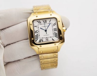 White Steel 20. One Of Cartier's Most Classic Series, Santos Brand: Cartier Sant