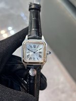 Exclusive real photos Cartier Dumont series, Swiss quartz movement Cartier Dumo
