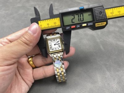 The latest upgraded version, the medium-sized 27x37mm Panth