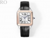 White Gold Diamond + 50 Cartier Ro Masterpiece Parameters synchronized with the