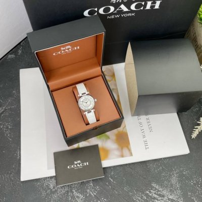 Exclusive new arrival! Xilin Nayi Gao's Coach Cary series calfskin strap, Europ