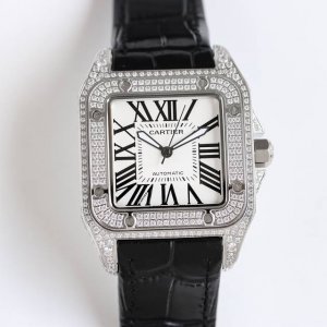 Taiwanese Factory Santos Quartz Mechanical Movement, Original Mold, Developed Ov