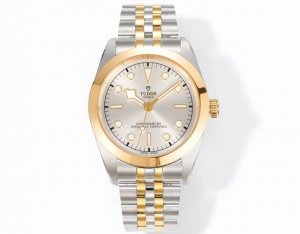 T New Tudor Biwan Collection - Case and Bezel: The 41mm stainless steel case fea