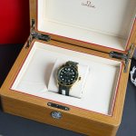 2025 New Omega Seamaster Gold and Green Gold-Plated Edition Size 42mm Model 2106