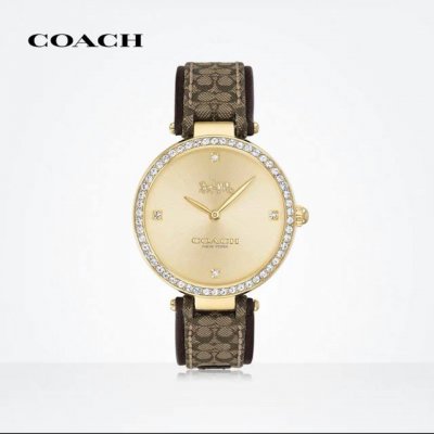 coach Coach Park Series Sunburst Dial Quartz Ladies Watch European And Americ