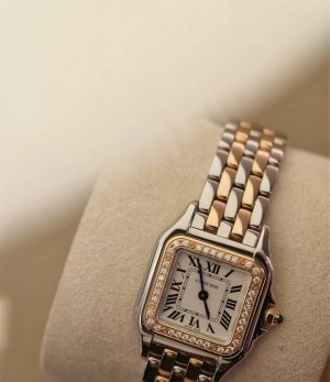 Cartier Panth